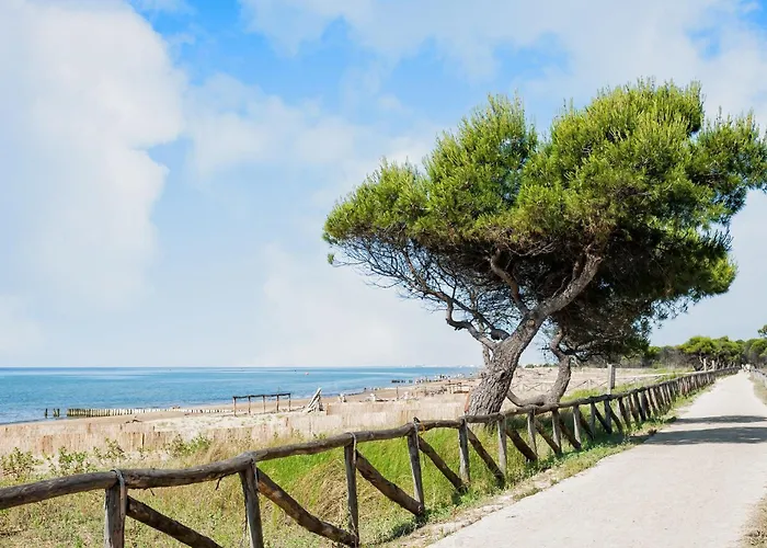 Lejlighed Flat In A With Shared Pool *